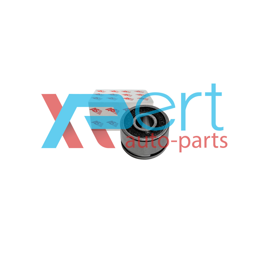 Подшипник генератора задний (Польша, AS-PL) A13 T11 B11 HOVER H3