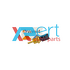 Датчик температуры (2 контакта) (Франция, VERNET) 2.0 2.4 T11 B11 B14 - изображение