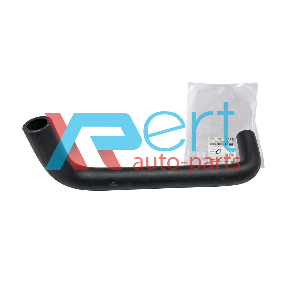 Патрубок вентиляции картера (оригинал) 481H A21