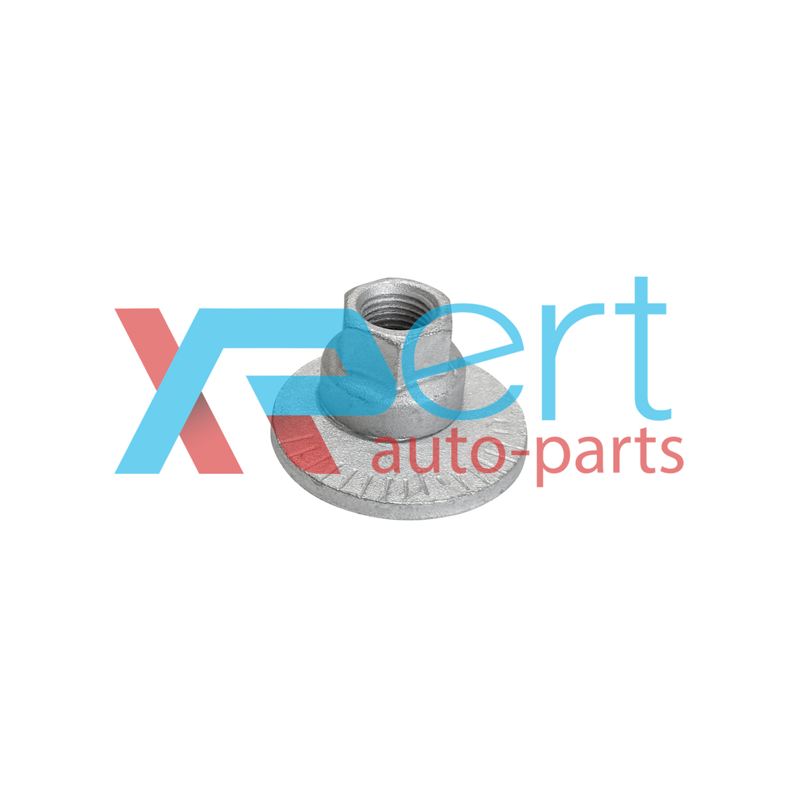 Гайка розвал-сходження RR підвіски T11